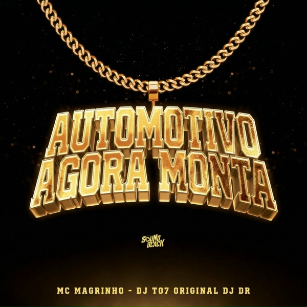 Mc Magrinho, DJ T07 Original, DJ DR - Automotivo Agora Monta