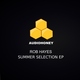 Rob Hayes - Special Love