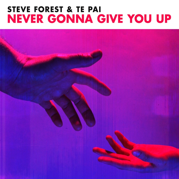 Steve Forest, Te Pai - Never Gonna Give You Up