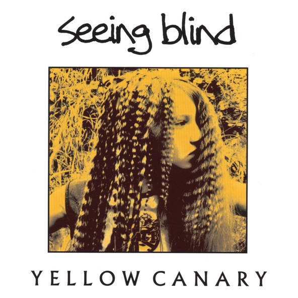 Seeing Blind - This is Just a Test