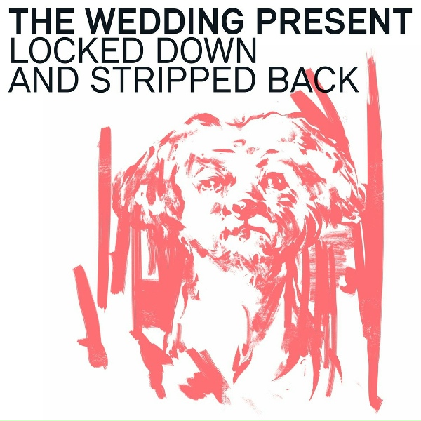 The Wedding Present - My Favourite Dress (Locked Down and Stripped Back Version)