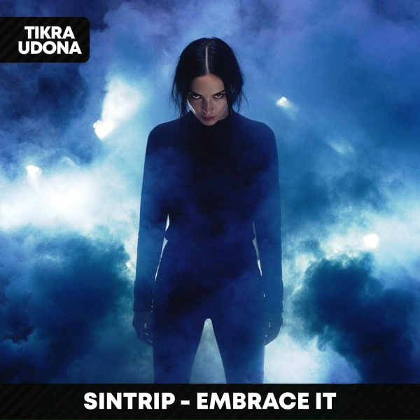 SinTrip - Embrace It