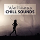 Spa Chillout Music Collection - Chill Lounge