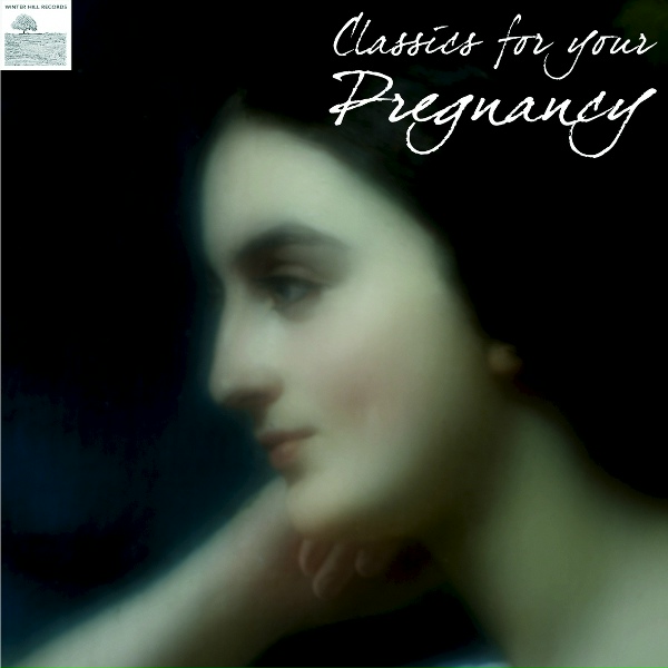 Mozart - Sonata K 311