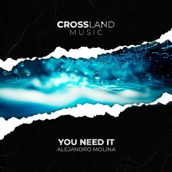 Alejandro Molina - You Need It