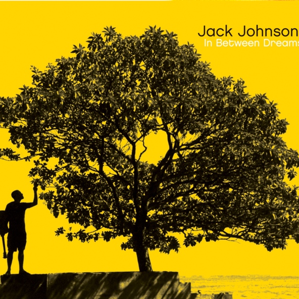 Jack Johnson - Crying Shame