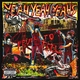 Yeah Yeah Yeahs - Pin