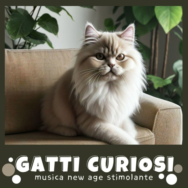 Mici Amici - Gatto detective