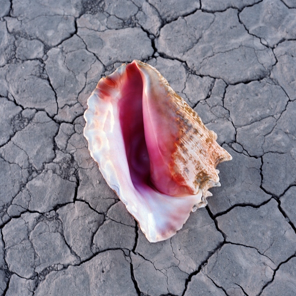 The Killers - Out Of My Mind