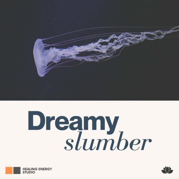 Deep Sleep Systems - Hushed