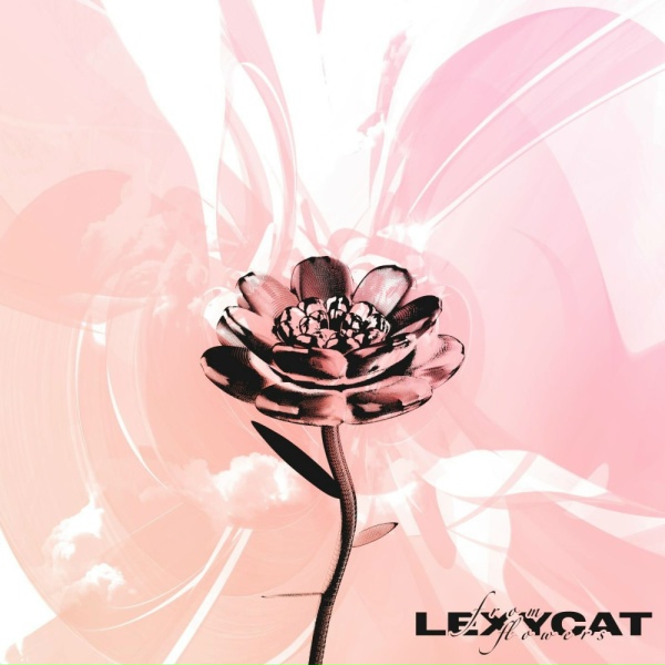 lexycat - apricot (アプリコット)