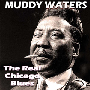 Muddy Waters - Baby Please Don't Go