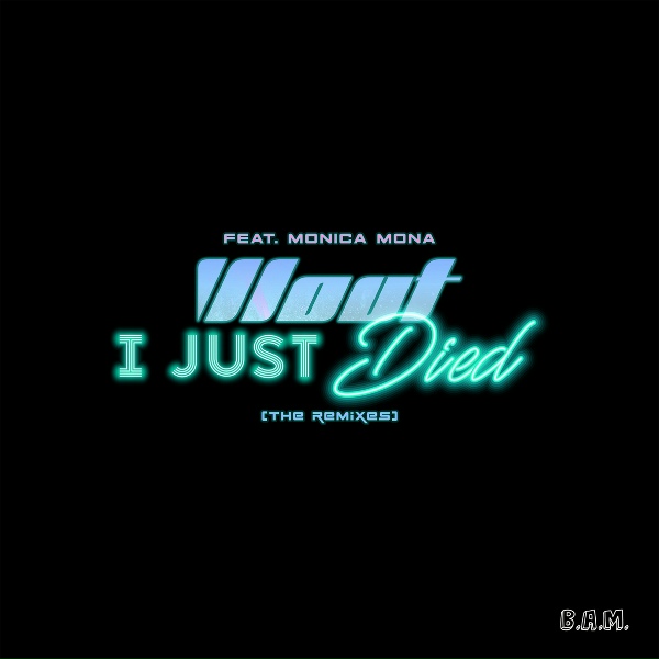 DJ Wout feat. Monica Mona - I Just Died