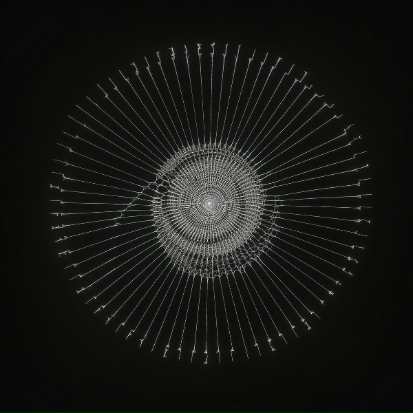 The Kite String Tangle - 1.618