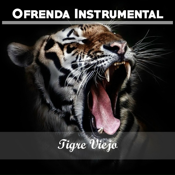 Juan d'Arienzo y Su Orquesta T&iacute;pica - Loca