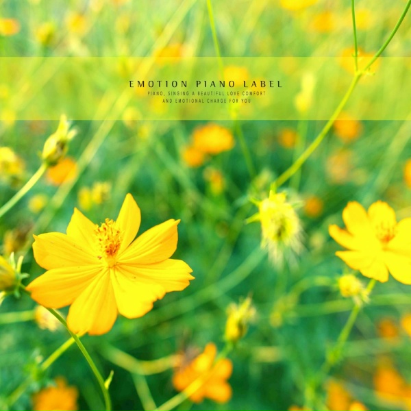 Kang Huiju - A sunny day