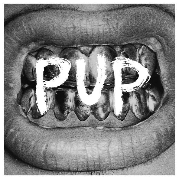 PUP - Dark Days
