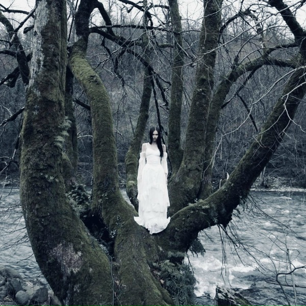 ToneMira - self aware sped