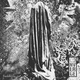 Converge - A Single Tear