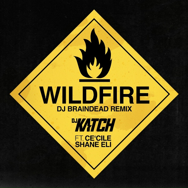 DJ Katch feat. Ce'Cile, Shane Eli - Wildfire