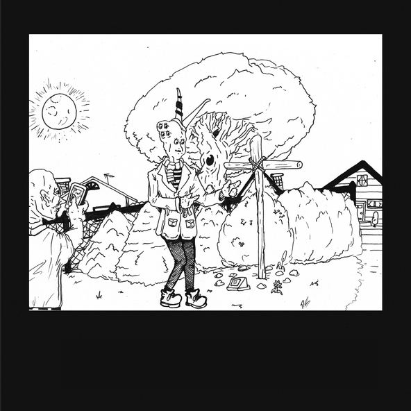 Teen Suicide - It's Just a Pop Song