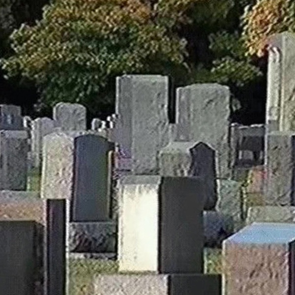 BONES - MPEG-4
