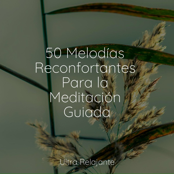Relajaci&oacute;n, Canciones Para Ni&ntilde;os, Medita&ccedil;&atilde;o Yoga - El Estr&eacute;s Simplemente Se Derrite