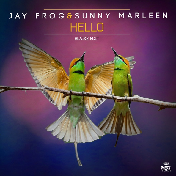 Jay Frog, Sunny Marleen - Hello