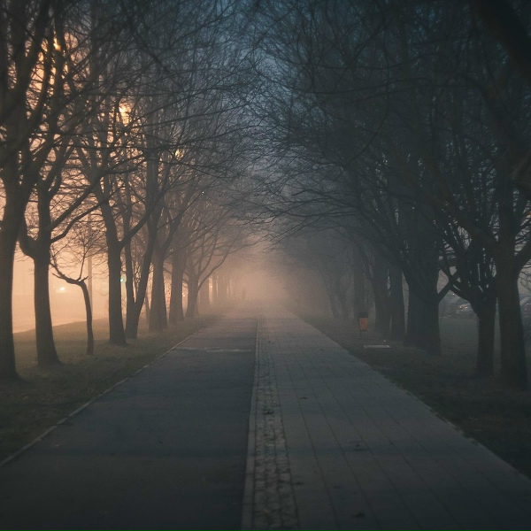 Mindfulness Mediation World, Relaxed Minds, The Sleep Specialist - Relaxing Moods