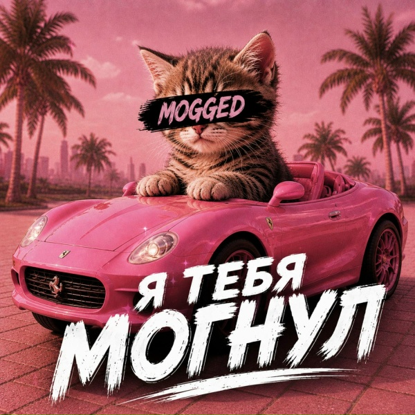 СВОЙ ВЫБОР - Я тебя могнул (Slowed)