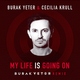 Burak Yeter, Cecilia Krull