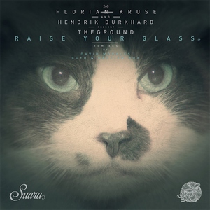 TheGround, Florian Kruse, Hendrik Burkhard - Raise Your Glass