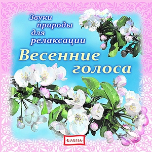 Детское издательство "Елена" - Песни весеннего леса