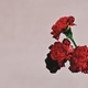 John Legend - You & I (Nobody in the World)