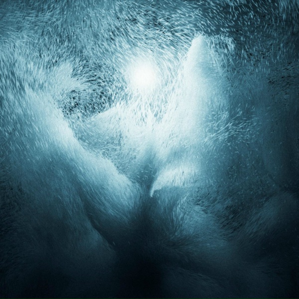 Echo Map, Azaleh - A Deeper Blue