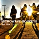 Microwave Monkeys feat. Nita feat. Nita - Sun Is Shining