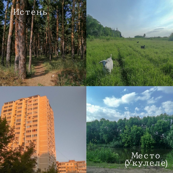 Истень - Город (Укулеле)