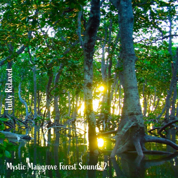 Steve Brassel - Mystic Mangrove Forest Sounds, Pt. 7