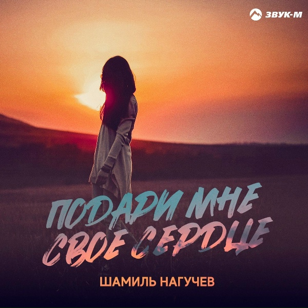 Шамиль Нагучев - Ранила