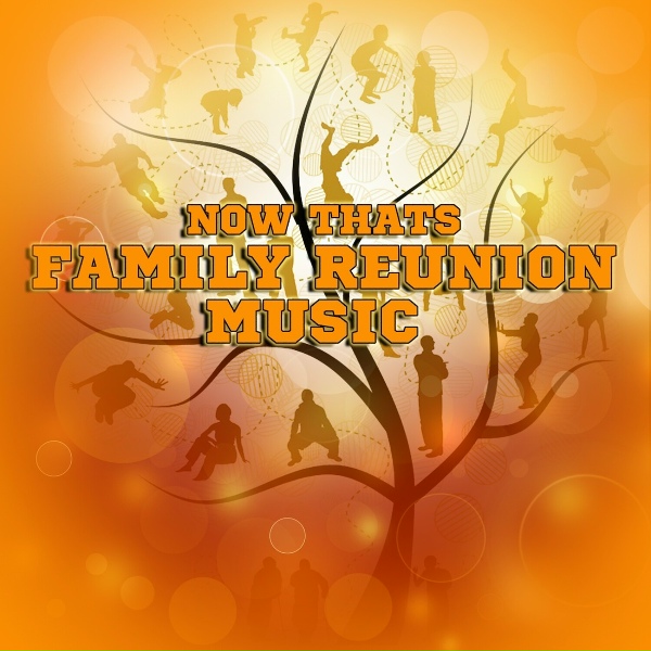 The Family - Shake Your Groove Thing