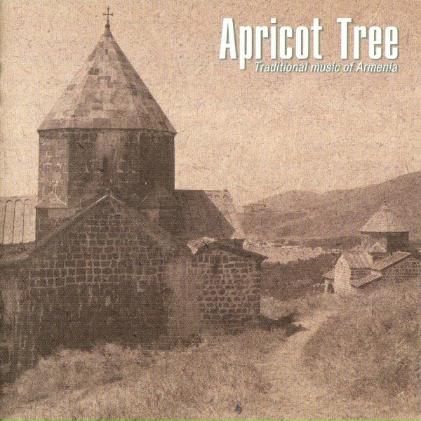 Apricot Tree - Dle Yaman