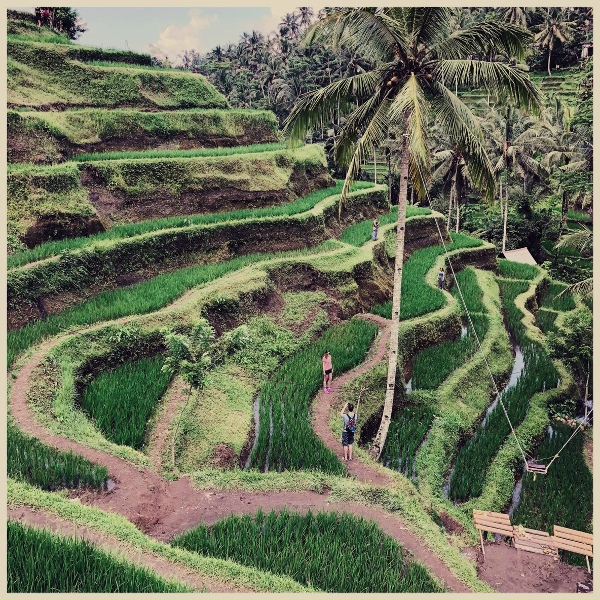 Covers Unplugged - Never Gonna Give You Up