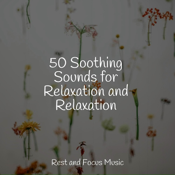 Soothing Chill Out for Insomnia, Pro Sound Effects Library, Study Music - Deep Thoughts