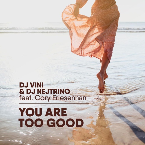 DJ Vini, DJ Nejtrino feat. Core Friesenhan
