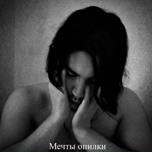 Мечты опилки