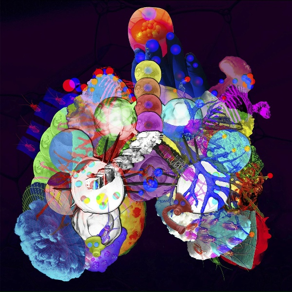 Giraffes? Giraffes! - Electric Meat