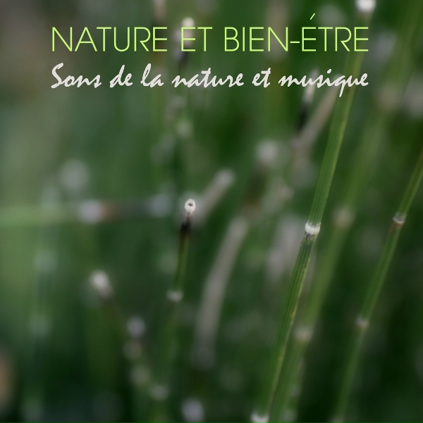 Oasis de D&eacute;tente et Relaxation - Le Bois Aux Murmures