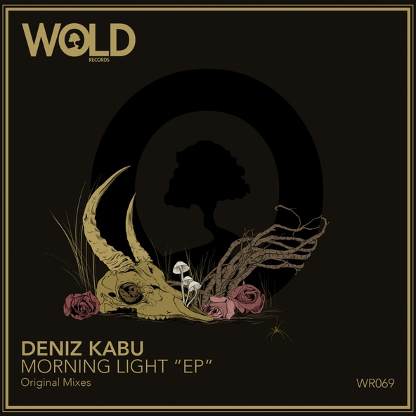 Deniz Kabu - Morning Light