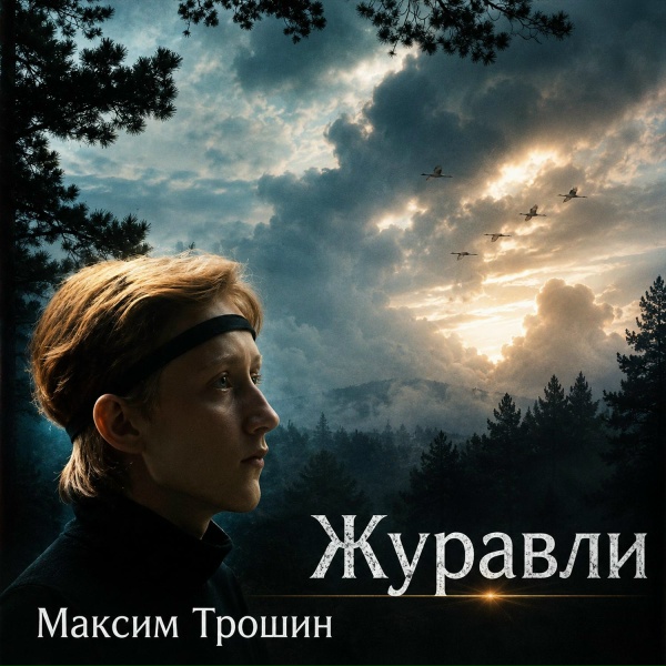 Максим Трошин - Ты не пой, соловей (instrumental)