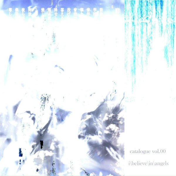 i\believe\in\angels - Skyfall